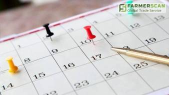 Агрособытия: куда стоит поехать в сентябре