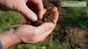 Озвучено стоимость земли в регионах после отмены маратория