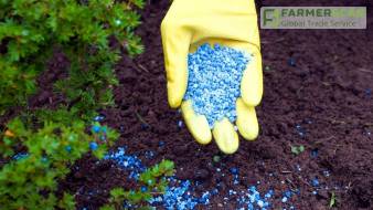 В Украине может исчезнуть 50% рынка минеральных удобрений