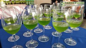 Хлорелла – применение водорослей в сельском хозяйстве