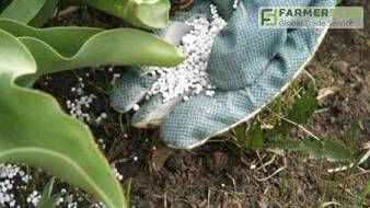 «Северодонецкое объединение Азот» снова начало выпускать удобрения