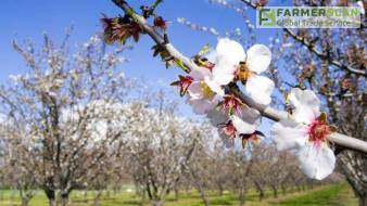 Синоптики обещают жару в апреле и прохладный май