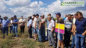 В Николаевской области презентовали экспериментальное поле нута и чечевицы