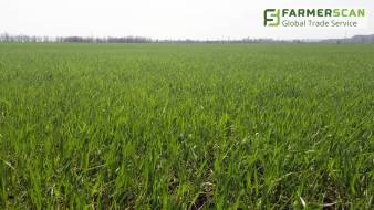 Elektronischer Börsenhandel führte zu einer Erhöhung des Bodenzinses um 23%