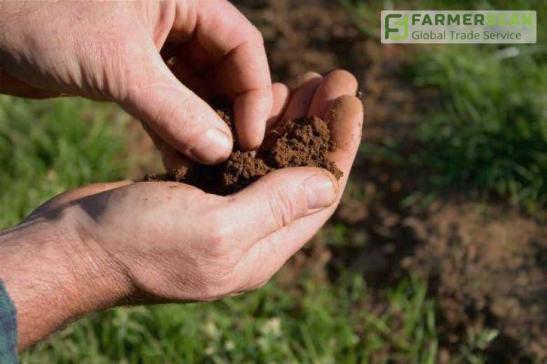 Озвучено стоимость земли в регионах после отмены маратория