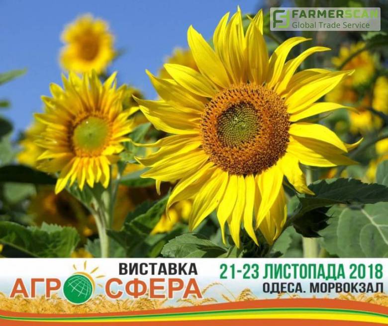 В Одессе пройдет выставка, которая посвящается хлебопекарному делу (ПРОГРАММА) В Одессе пройдет выставка, которая посвящается хлебопекарному делу (ПРОГРАММА)