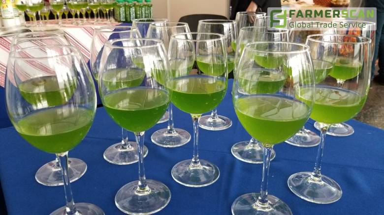 Хлорелла – применение водорослей в сельском хозяйстве