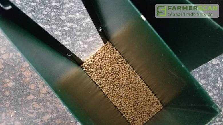 Die Saatgutvorbereitung für die Aussaat: Wie kann man den Ertrag mit Hilfe eines Aeroseparators um 30% heben?