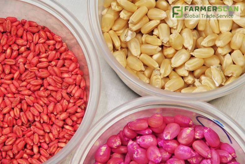 Как выбрать качественный посевной материал