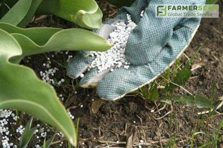 «Северодонецкое объединение Азот» снова начало выпускать удобрения «Северодонецкое объединение Азот» снова начало выпускать удобрения