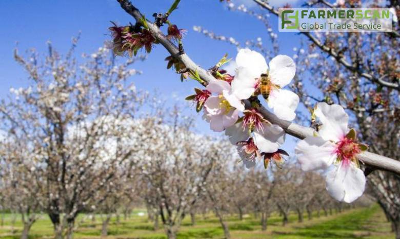 Синоптики обещают жару в апреле и прохладный май Синоптики обещают жару в апреле и прохладный май