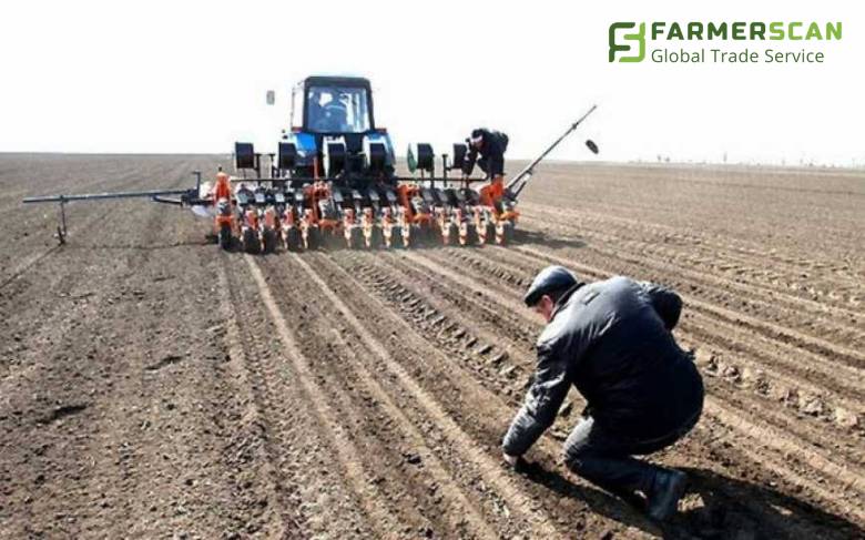 Контроль качества посева: учет нормы высева в полевых условиях