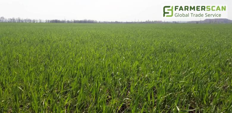 Elektronischer Börsenhandel führte zu einer Erhöhung des Bodenzinses um 23% Elektronischer Börsenhandel führte zu einer Erhöhung des Bodenzinses um 23%