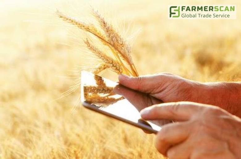 Топ-7 мобильных приложений для агрария Топ-7 мобильных приложений для агрария